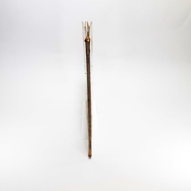 a pair of wooden skis sitting on top of a white surface