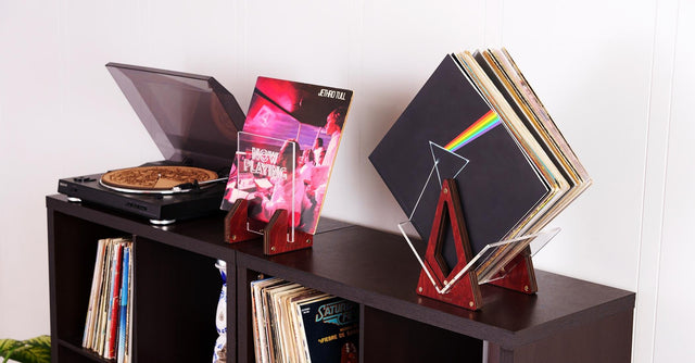 Vinyl Record Collector