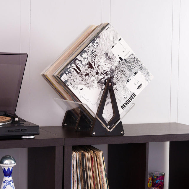 Vinyl Record Collection Display - Black - Quetzal Studio